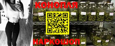 прущие крисы Нальчик