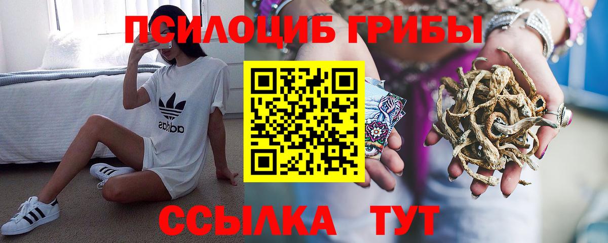 Галлюциногенные грибы MAGIC MUSHROOMS Электросталь